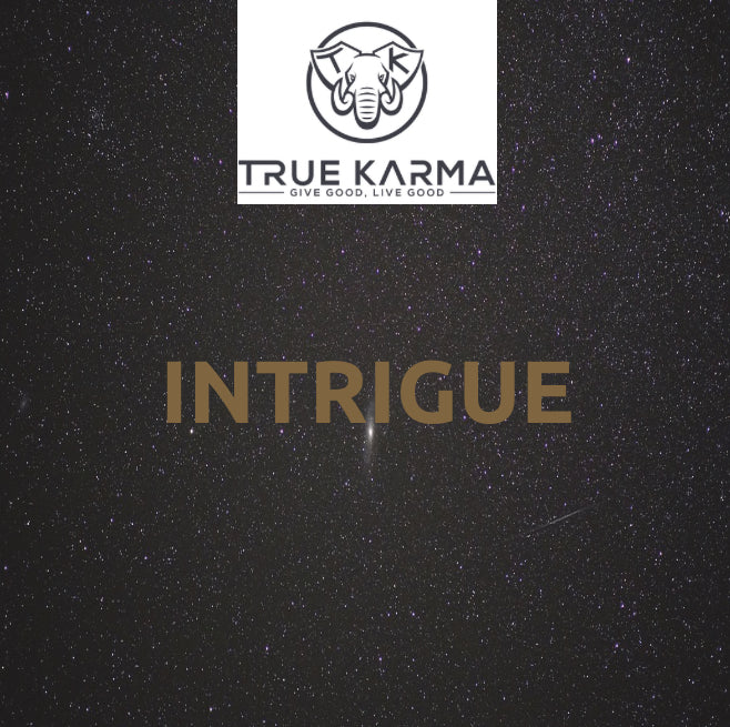 Intrigue Body Oil