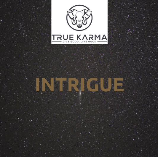 Intrigue Body Oil